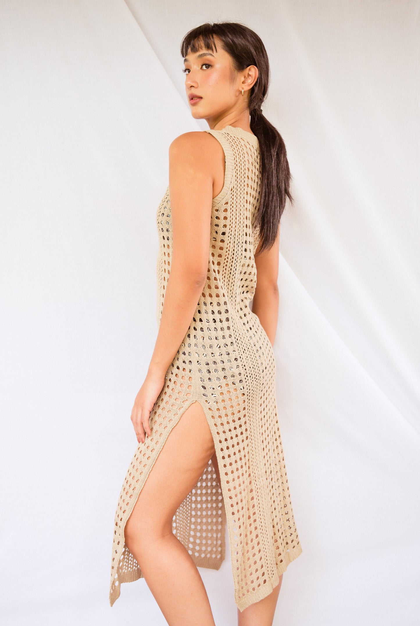 ROSHNI Dress