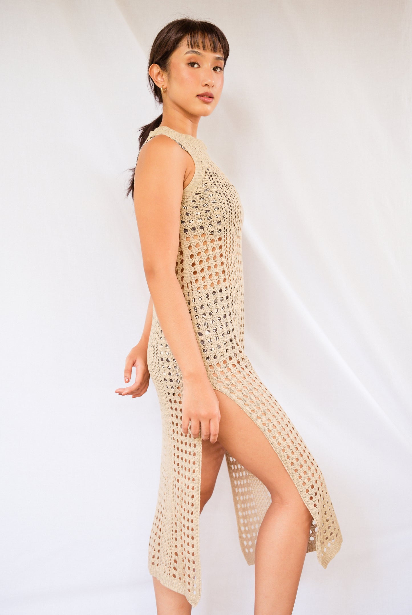 ROSHNI Dress