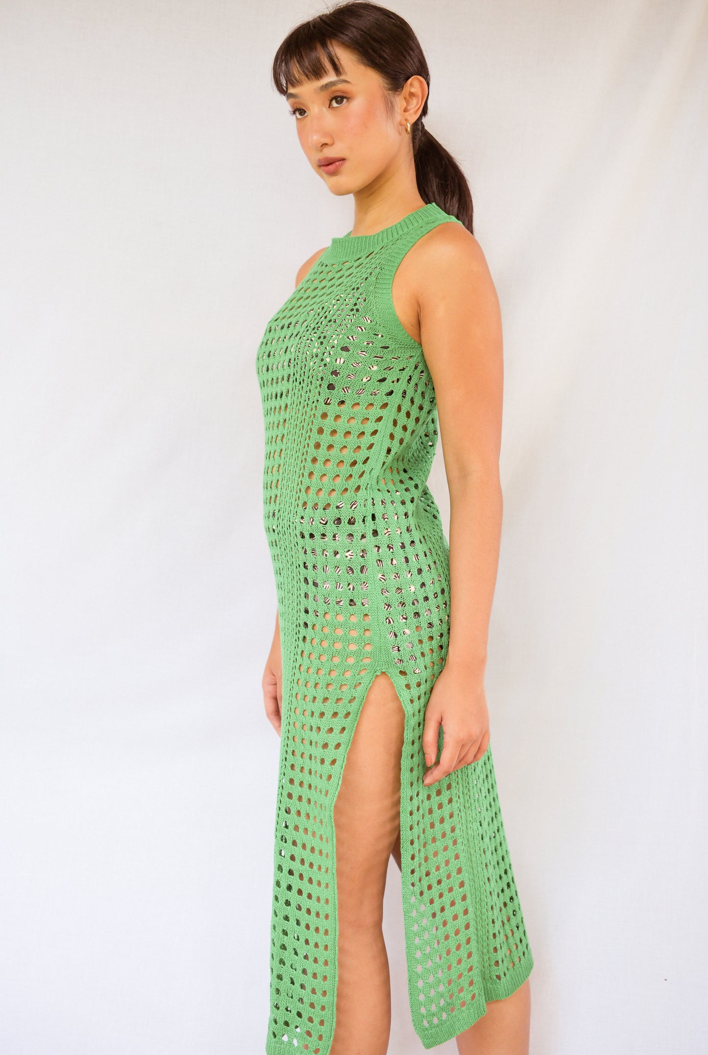 ROSHNI Dress