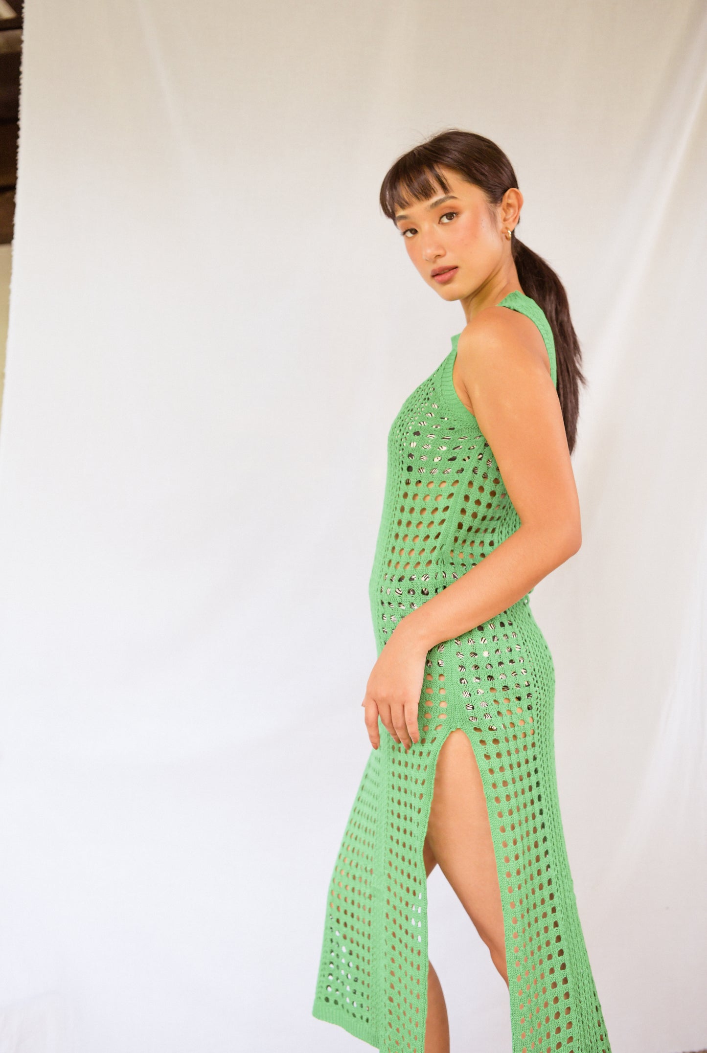 ROSHNI Dress